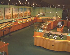The National Opal Collection - Hervey Bay Accommodation 3