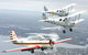Vintage Tiger Moth Joy Flights - thumb 0