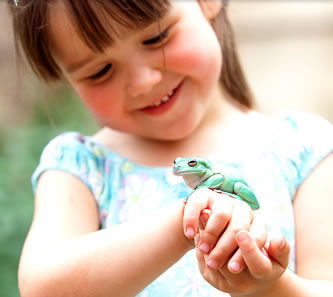 Reptile Encounters - Hervey Bay Accommodation 1