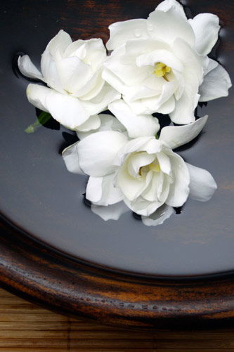 Temple Skincare - Tourism Hervey Bay 2