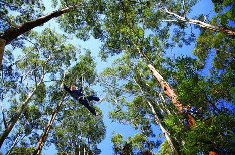 FreemanX Experience - Hervey Bay Accommodation 5