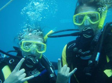 Snorkel Safari Brisbane - Hervey Bay Accommodation 5