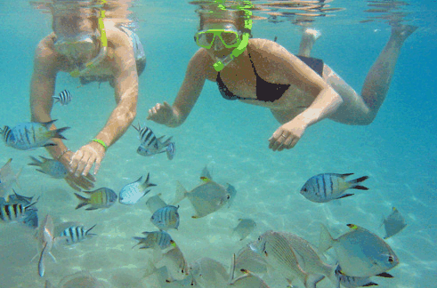 Australian Kayaking Adventures - Tourism Hervey Bay 2