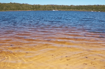 Beach Trekkers North Stradbroke Island - Hervey Bay Accommodation 1