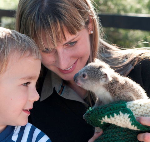 Australian Reptile Park - Hervey Bay Accommodation 1