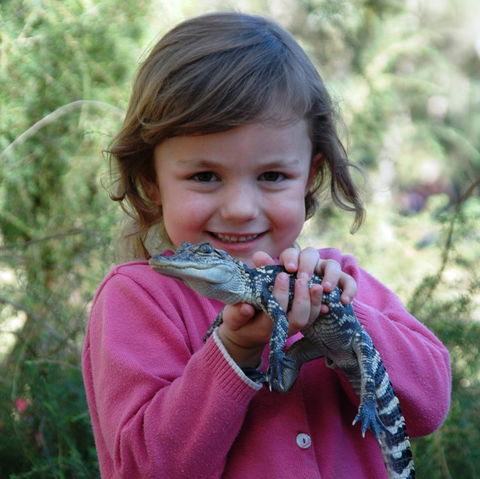 Australian Reptile Park - Hervey Bay Accommodation 2