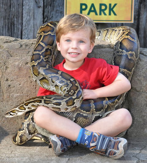 Australian Reptile Park - Hervey Bay Accommodation 3
