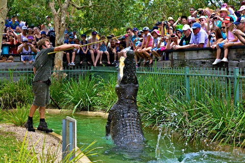 Australian Reptile Park - Hervey Bay Accommodation 4