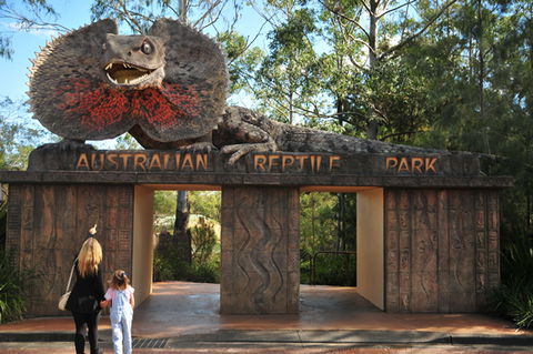 Australian Reptile Park - Hervey Bay Accommodation 5