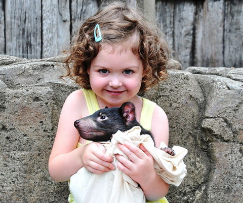 Australian Reptile Park - Hervey Bay Accommodation 8