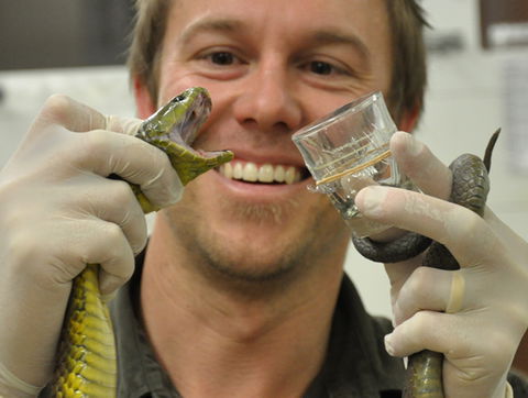 Australian Reptile Park - Hervey Bay Accommodation 9