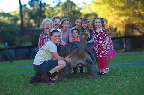 Australian Reptile Park - Hervey Bay Accommodation 11