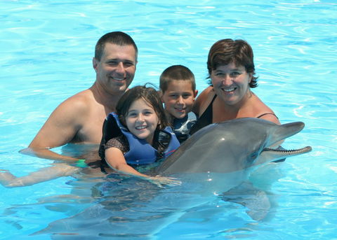 Dolphin Marine Magic - Hervey Bay Accommodation 2