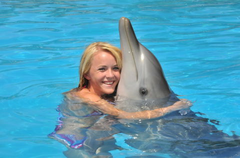 Dolphin Marine Magic - Hervey Bay Accommodation 5