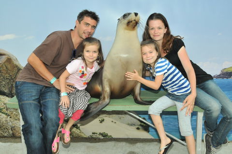 Dolphin Marine Magic - Hervey Bay Accommodation 6