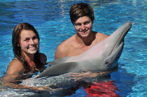 Dolphin Marine Magic - Hervey Bay Accommodation 8