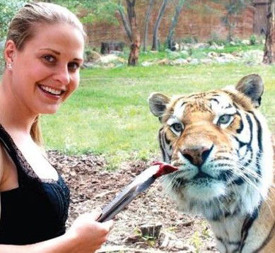 National Zoo & Aquarium - Hervey Bay Accommodation 4