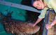 National Zoo & Aquarium - thumb 7