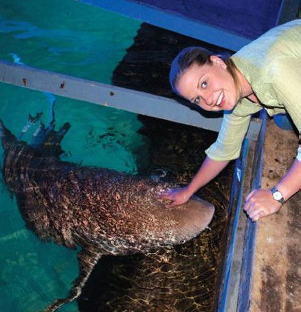 National Zoo & Aquarium - Hervey Bay Accommodation 7