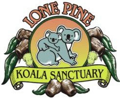 Lone Pine Koala Sanctuary - Tourism Hervey Bay 0