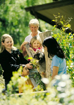 Cleland Wildlife Park - Hervey Bay Accommodation 5