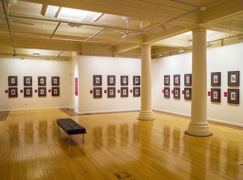 Cairns Regional Gallery - Tourism Hervey Bay 2