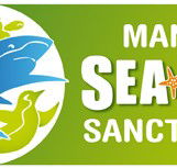 Manly SEA LIFE Sanctuary - Hervey Bay Accommodation
