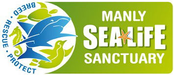 Manly SEA LIFE Sanctuary - Tourism Hervey Bay 0