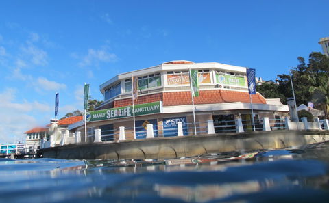 Manly SEA LIFE Sanctuary - Tourism Hervey Bay 2