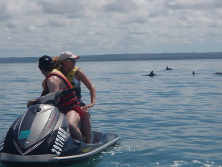 Aquavue Cafe Watersports - Tourism Hervey Bay 5