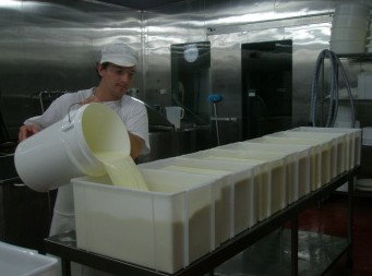Witches Chase Cheese Co - Hervey Bay Accommodation 1
