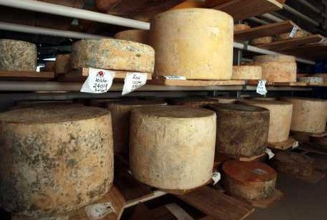 Witches Chase Cheese Co - Hervey Bay Accommodation 3