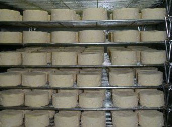 Witches Chase Cheese Co - Hervey Bay Accommodation 5