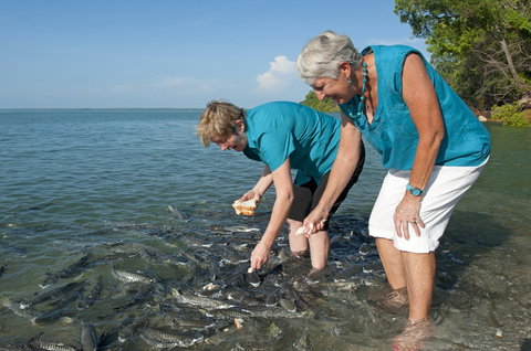 Aquascene Fish Feeding Sanctuary - Hervey Bay Accommodation 0
