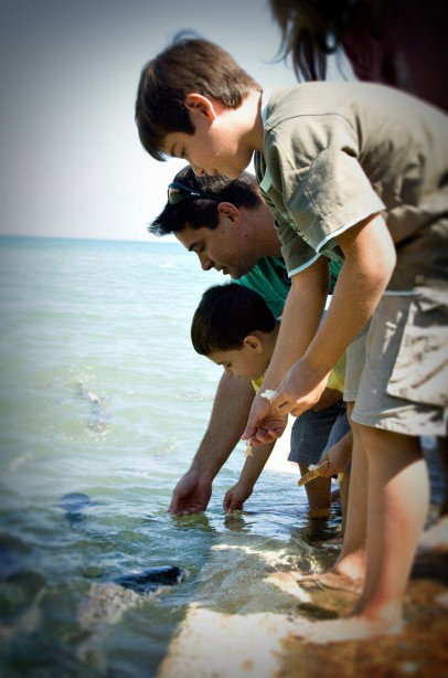 Aquascene Fish Feeding Sanctuary - Hervey Bay Accommodation 3