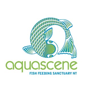 Aquascene Fish Feeding Sanctuary - Hervey Bay Accommodation 5