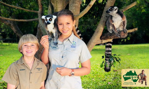 Australia Zoo - Hervey Bay Accommodation 2