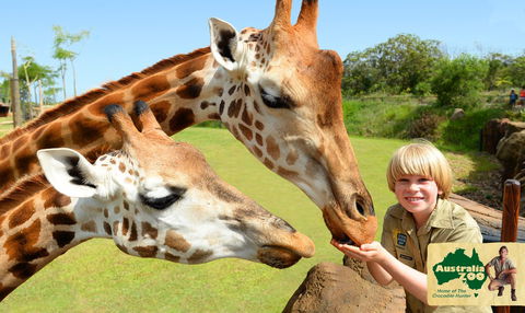 Australia Zoo - Hervey Bay Accommodation 4