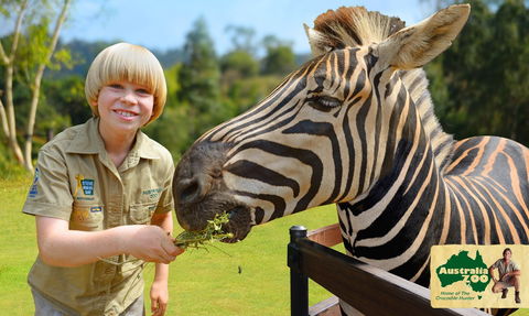 Australia Zoo - Hervey Bay Accommodation 5