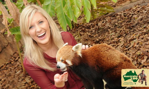 Australia Zoo - Hervey Bay Accommodation 7