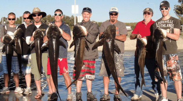 BKs Gold Coast Fishing Charters - Hervey Bay Accommodation 1