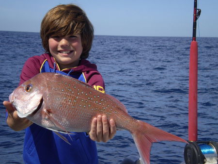 Mills Charters Fishing And Whale Watch Cruises - Hervey Bay Accommodation 4