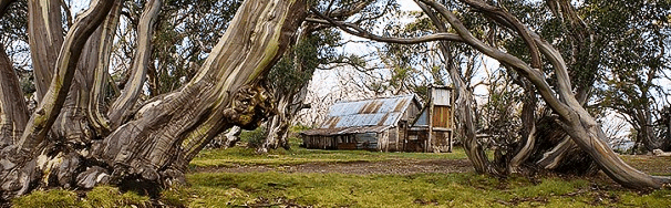 High Country Scenic Tours - Hervey Bay Accommodation
