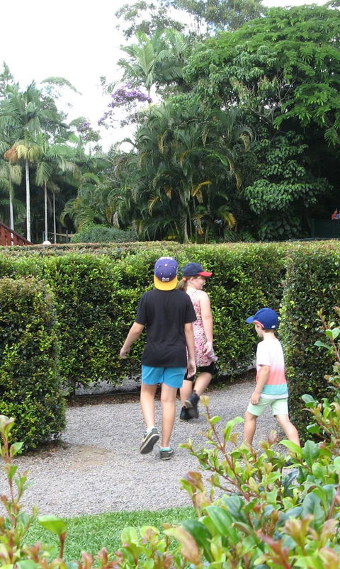 Bellingham Maze - Hervey Bay Accommodation 2