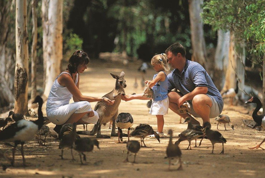  Hervey Bay Accommodation