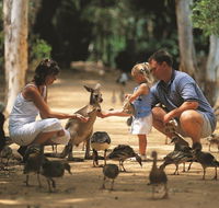 Billabong Sanctuary - Hervey Bay Accommodation