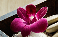 Blush Beauty Saloons - Hervey Bay Accommodation 4