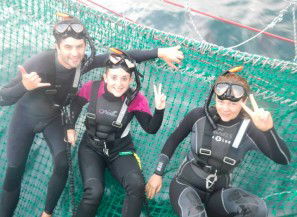 Dolphin Swim Australia - Hervey Bay Accommodation 7