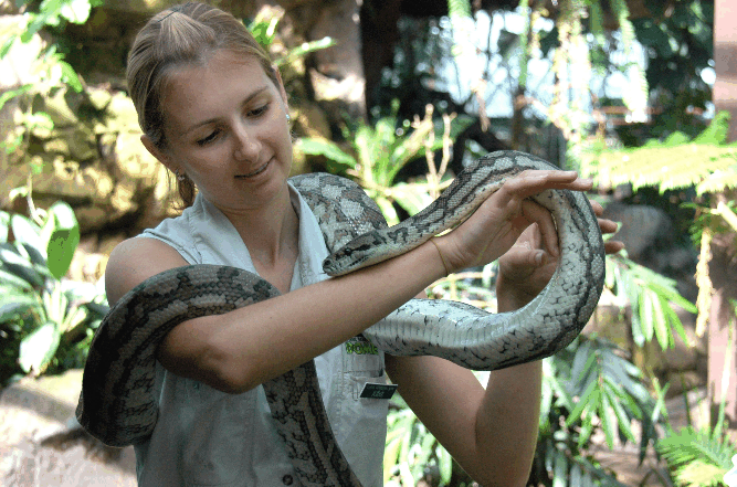 Cairns Wildlife Dome - Tourism Hervey Bay 2