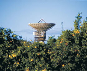 Big Dish - Hervey Bay Accommodation 0
